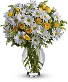 Irving florist Amazing Daisy T32-1A