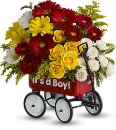Irving Florist Baby's Wow Wagon T35-1B
