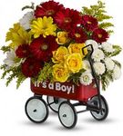 Irving Florist Baby's Wow Wagon T35-1B