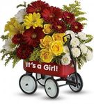 Irving Florist Baby's Wow Wagon T97N400B
