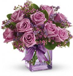 Irving Florist Lavender Roses 