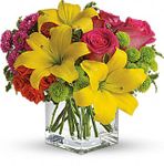 Irving florist Sunsplash T159-1A