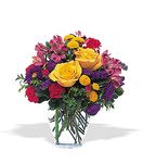 Irving Florist TF107-1 - Bright & Cheery Arrangement
