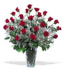 Irving Florist TF117-1 - Two Dozen Red Roses With Baby Breath