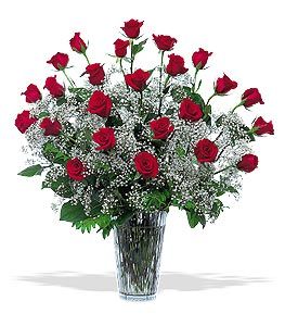 Irving Florist TF117-1 - Two Dozen Red Roses With Baby Breath