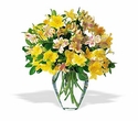 Irving Florist TF22-1 - Mixed Alstroemeria Vase