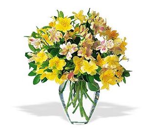Irving Florist TF22-1 - Mixed Alstroemeria Vase
