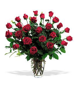 Irving florist TF31-2 - Two Dozen Red Roses