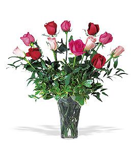 Irving Florist TF32-5 - One Dozen Multi-Color Roses