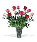 Irving Florist TF32-5 - One Dozen Multi-Color Roses