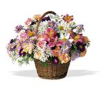 Irving Florist TF7-2 - Country Basket