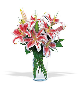 Irving Florist TF8-2 - Stargazer Bouquet