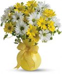 Irving Florist Upsy Daisy Irving Florist Upsy Daisy