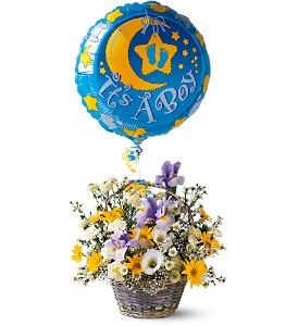 It's a Boy! Basket 
