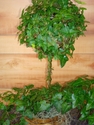 Ivy Ball Single 22"