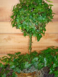 Ivy Ball Single 22"