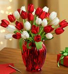 Jolly Holiday Tulips Flower Jolly Holiday Tulips Flower