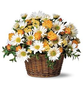 Joyful Roses and Daisies 