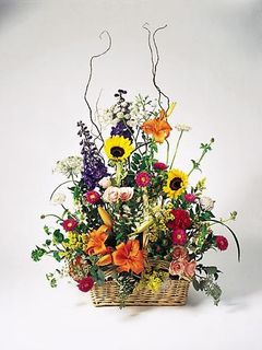 Large fall basket