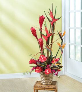 Large Tropical Arrangement 