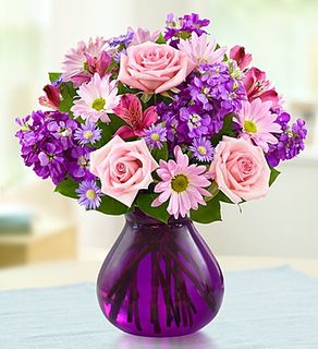 Lavender Dreams
