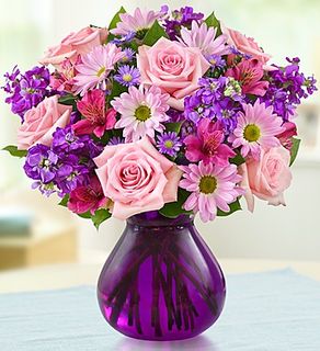 Lavender Dreams