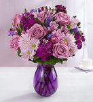 Lavender Dreams Lavender Dreams