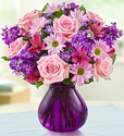 Lavender Dreams