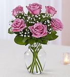 Lavender Roses Lavender Roses