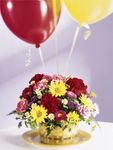 Let’s Be Buds Arrangement Let’s Be Buds Arrangement