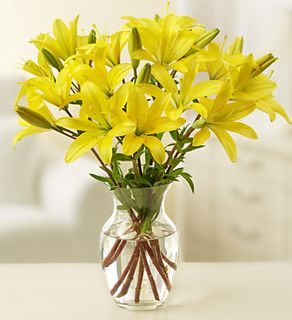 Lilies