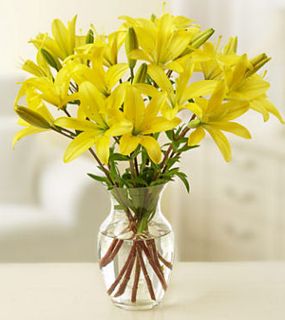 Lilies Arranged in a Vase
