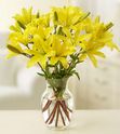 Lilies Arranged in a Vase