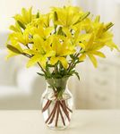 Lilies Arranged in a Vase