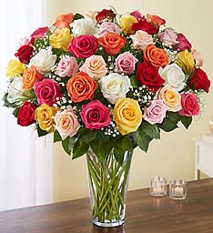  Long Stem Assorted Roses