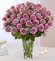 Long Stem Lavender Roses