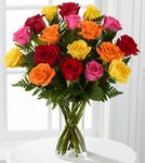 Long Stem Mixed Roses Long Stem Mixed Roses
