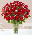 Long Stem Red Roses Delivery in Irving Long Stem Red Roses Delivery in Irving