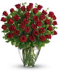 Long Stemmed Red Roses  Long Stemmed Red Roses
