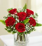 Love's Embrace Roses 