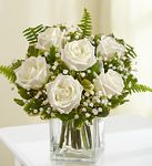 Love's Embrace Roses 