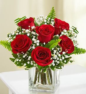Love's Embrace Roses 