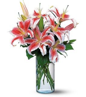 Lovely Lilies
