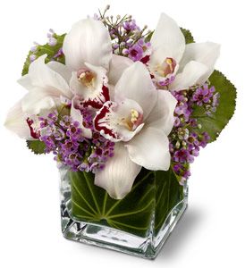  Lovely Orchids