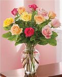 Mixed rose color Mixed rose color