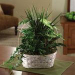 Luscious Green Garden Basket Luscious Green Garden Basket