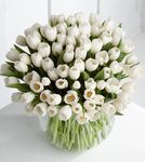  Luxury Tulip bouquet 