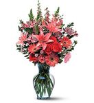 Marvelous Pinks 