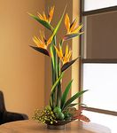 Memories of Paradise Memories of Paradise