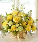 Mixed Basket Arrangement for Sympathy